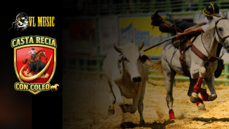 Casta Recia con Coleo VL Music Tinaco